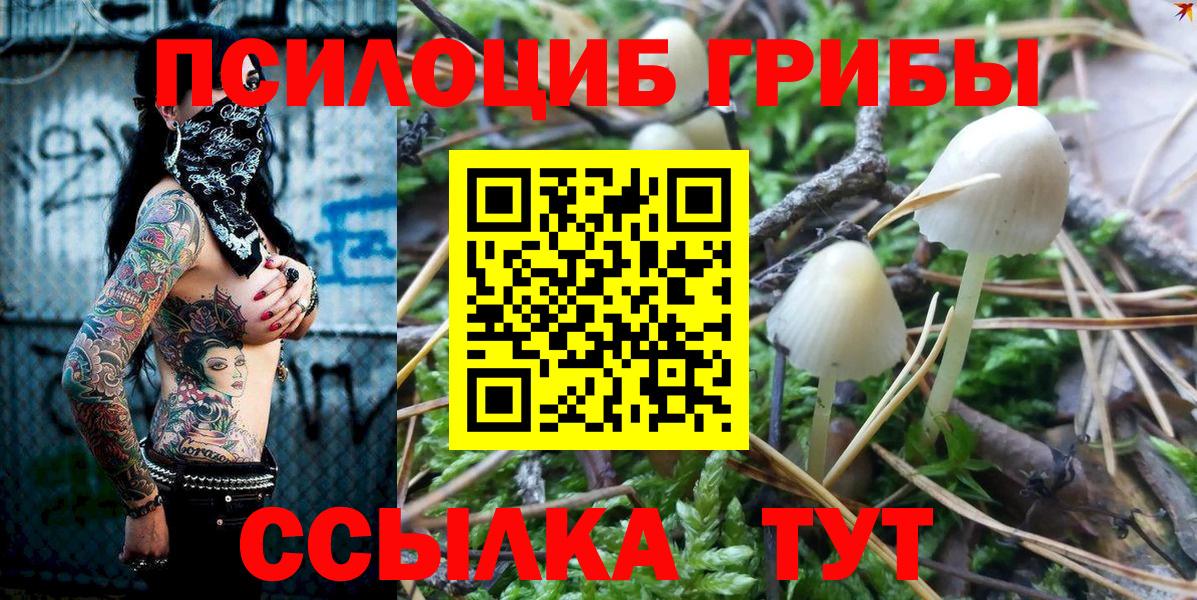 Галлюциногенные грибы Cubensis  Псилоцибиновые грибы прущие грибы  Борзя  Вход с VPN 