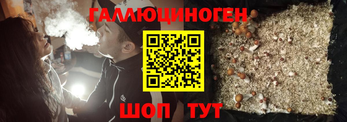 Галлюциногенные грибы Magic Shrooms Борзя